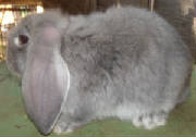 dscn0947.jpg