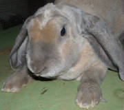 dscn0984.jpg